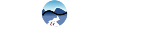 logo georesorces